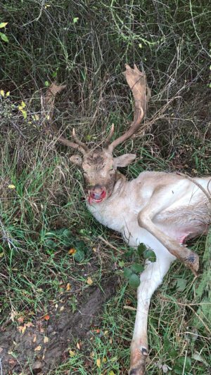 B86918C2-2008-4D76-AB8E-9CD2C9673F50