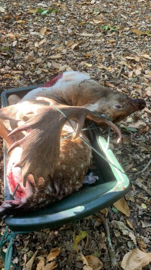 4141755C-6EDF-4187-9F9E-66D5B3E5BDE1