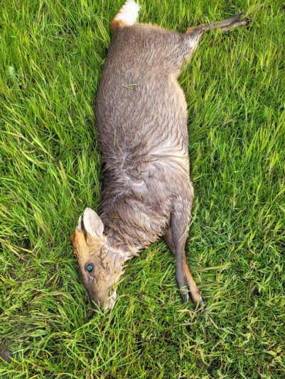 F16C78CA-4A37-47F1-A00B-CF7385B588D8