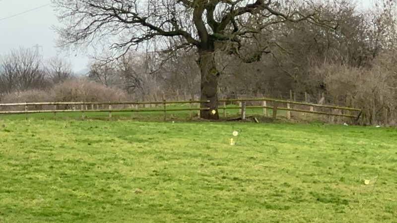 873DC756-C79E-433E-BD8C-117D9EB7DABC